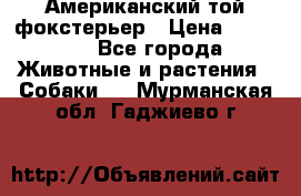 Американский той фокстерьер › Цена ­ 25 000 - Все города Животные и растения » Собаки   . Мурманская обл.,Гаджиево г.